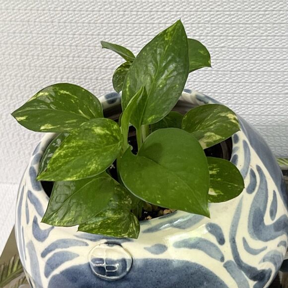Blue & White Swirl Stoneware Planter Flower Pot Round Wheel Thrown Maker’s Mark - Picture 14 of 17